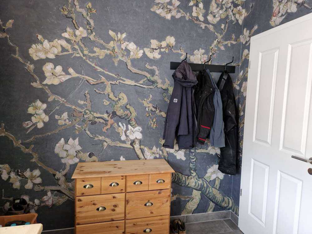 Almond Blossom in Bloom