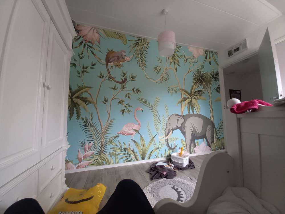 Elephant, flamingo and friends