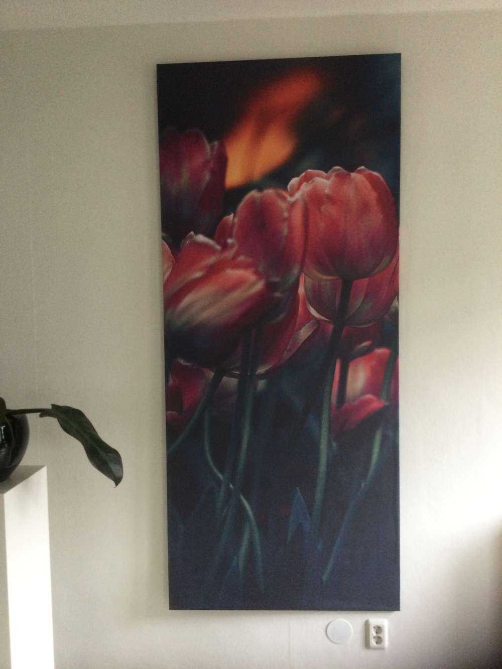 Vintage tulips