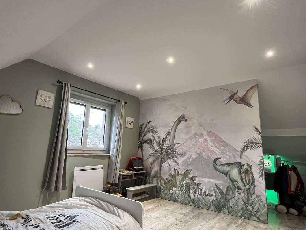 Dino's near a volcano