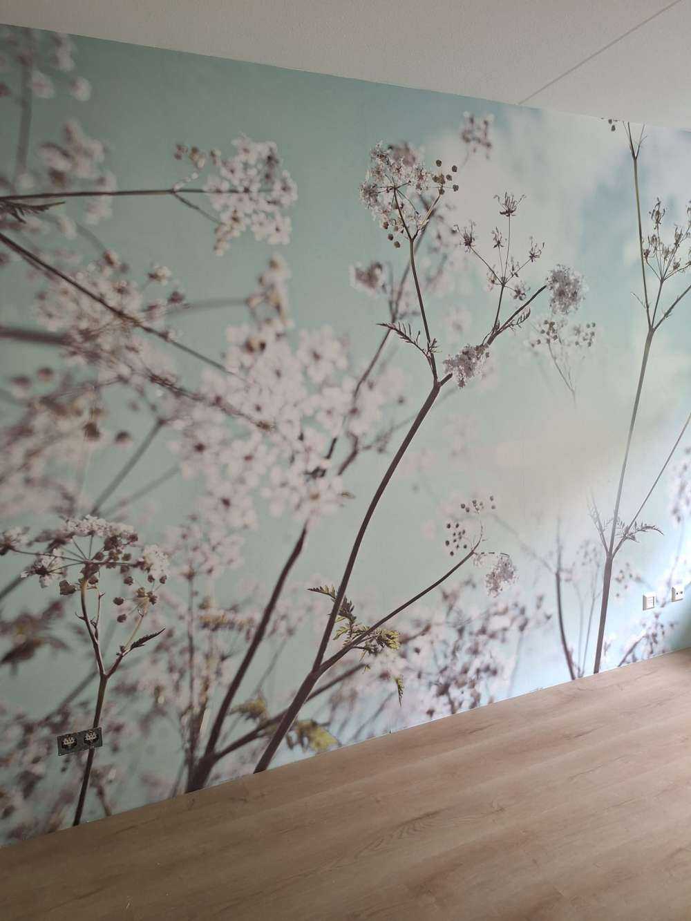 Almond blossom in the sun