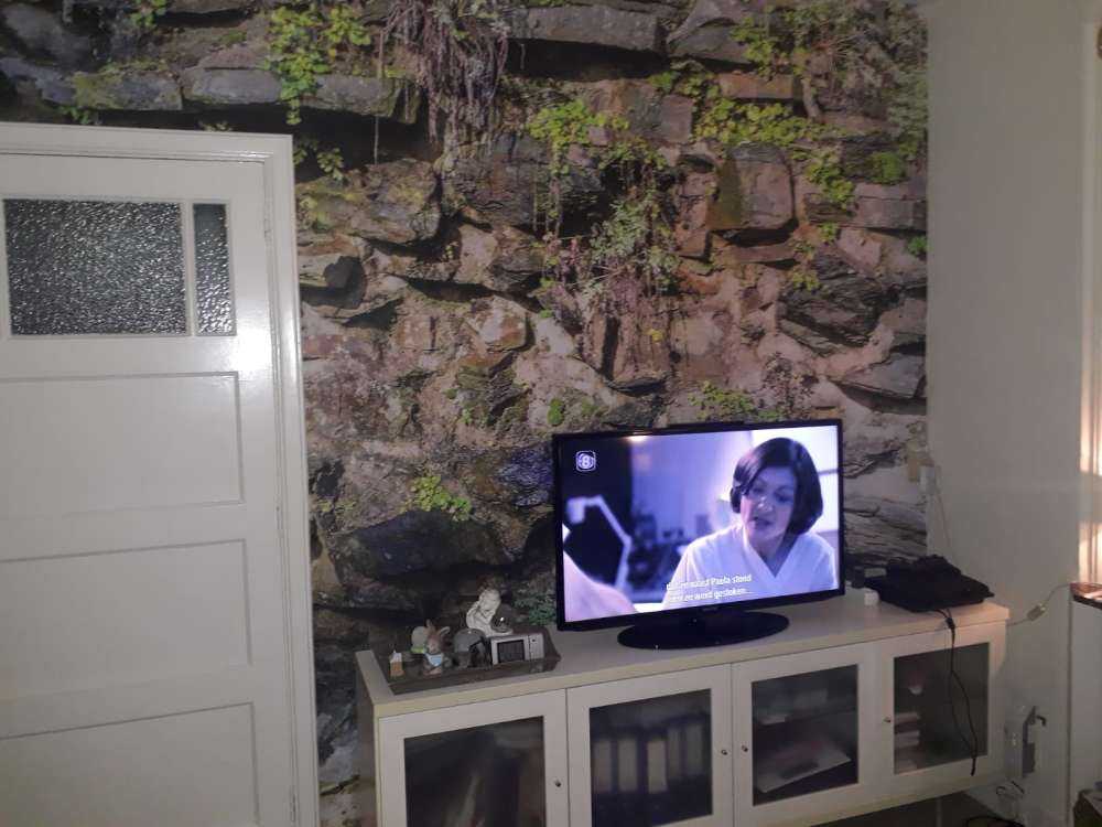 Overgrown wall