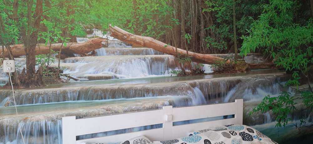 Wide waterfall in the forest