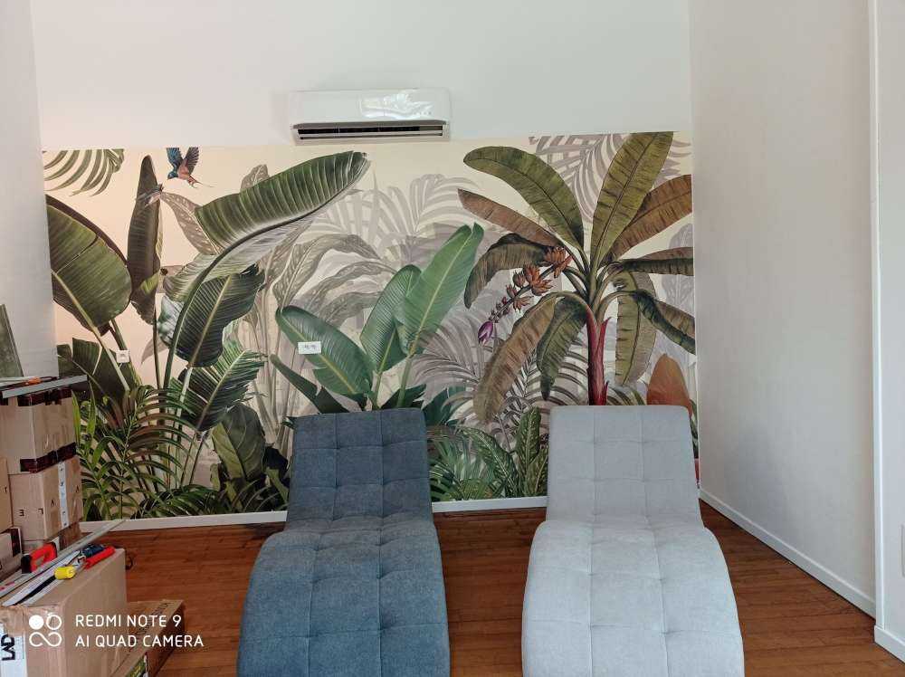 Plants in the jungle