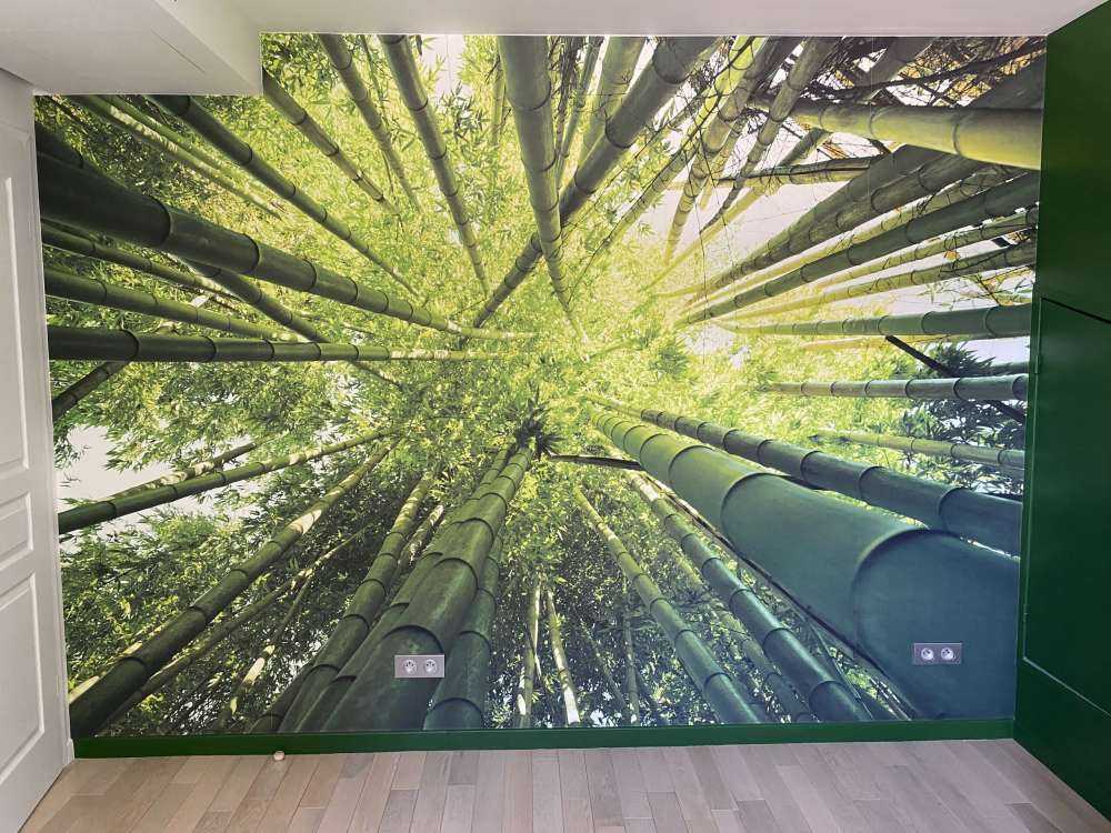 Bamboo