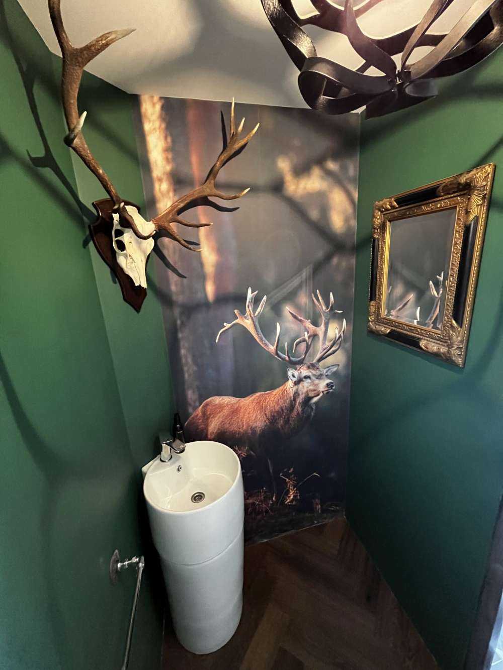 Deer on a hill