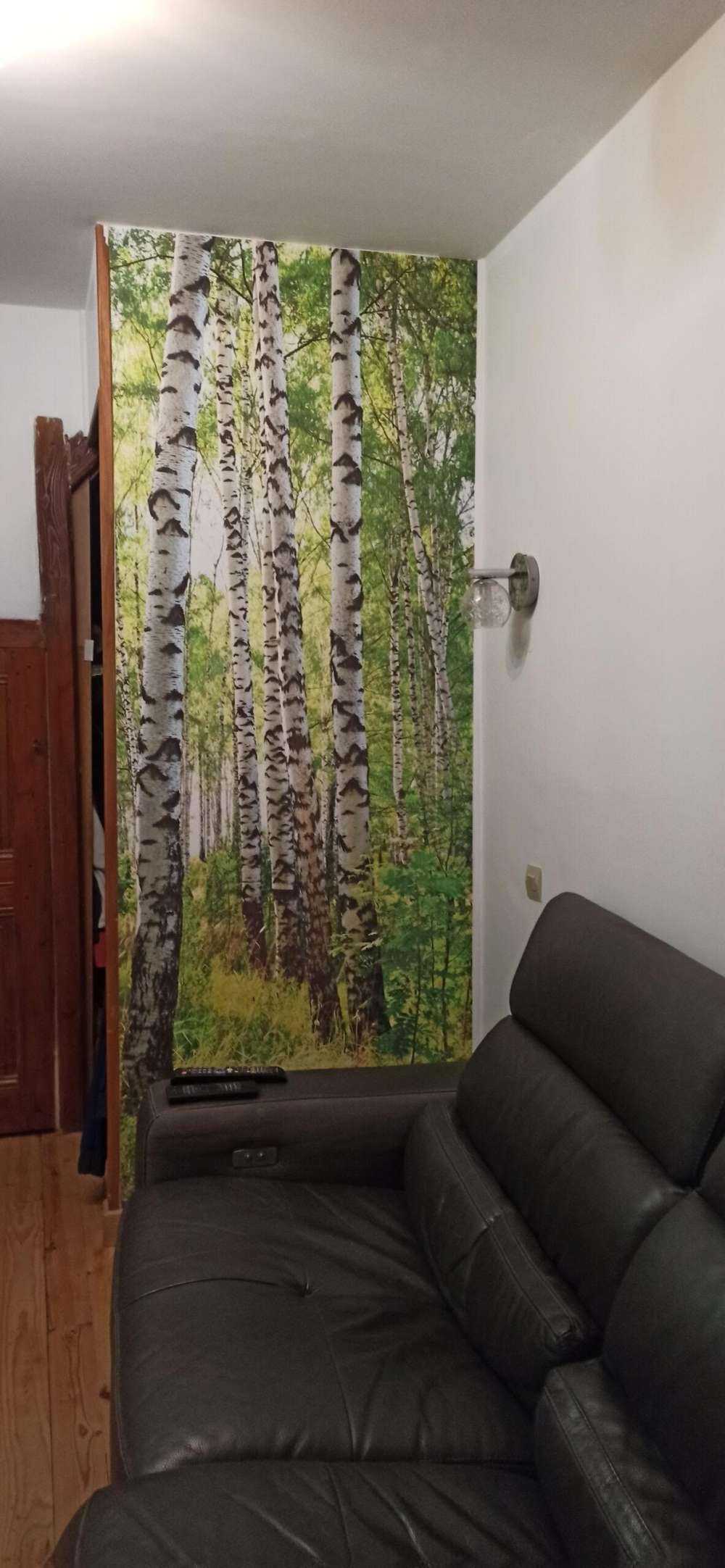Tree trunks