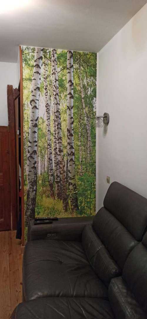 Tree trunks