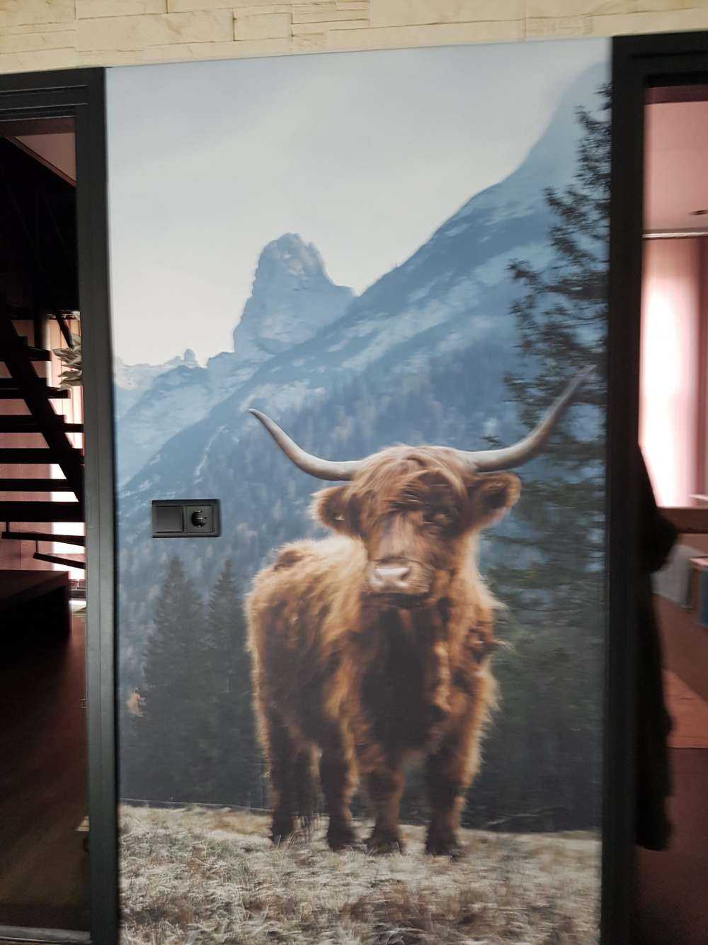 Scottish highlander among the trees