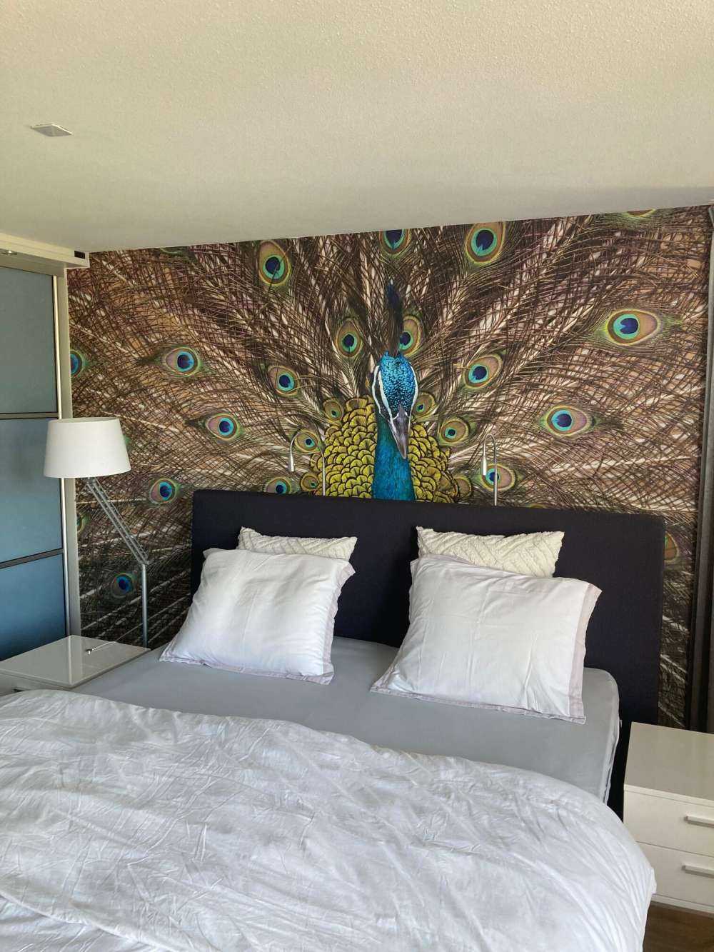 Peacock with stuffed feathers