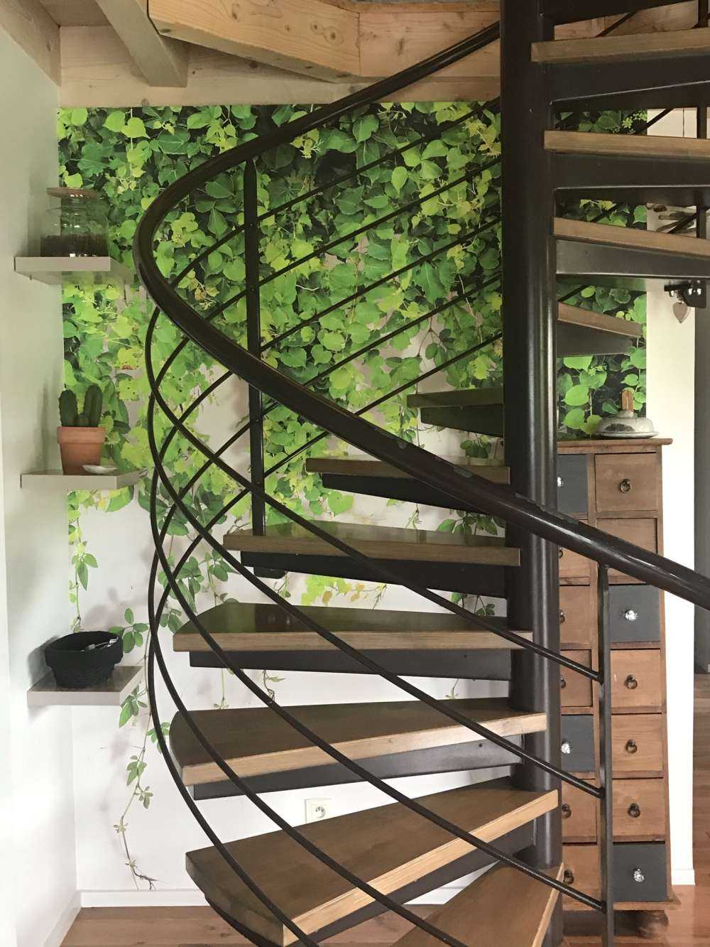 Green hanging branches