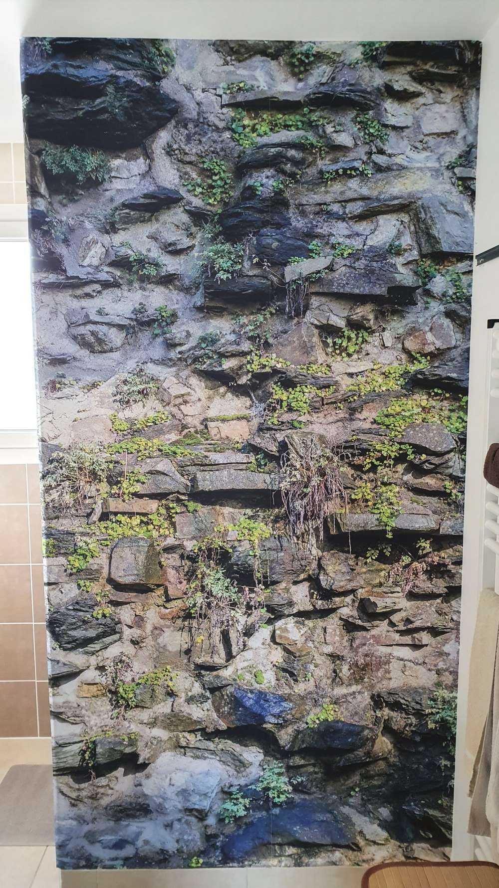 Overgrown wall