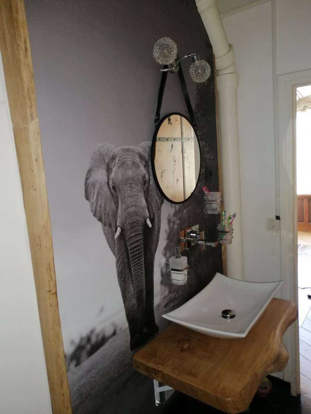 Elephant in the sunset