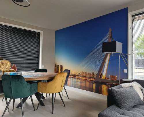 Erasmus Bridge