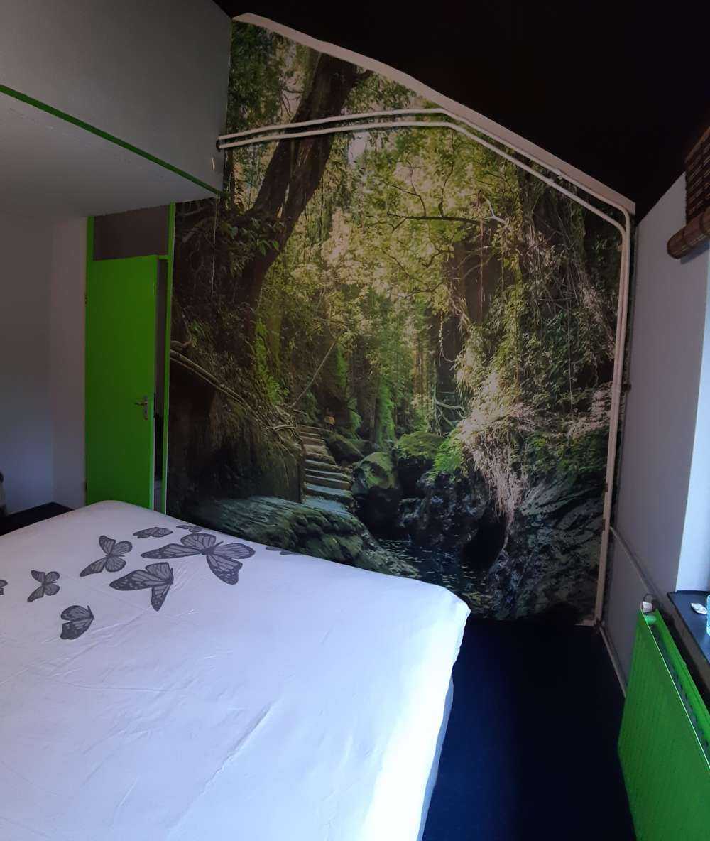 Path through the jungle