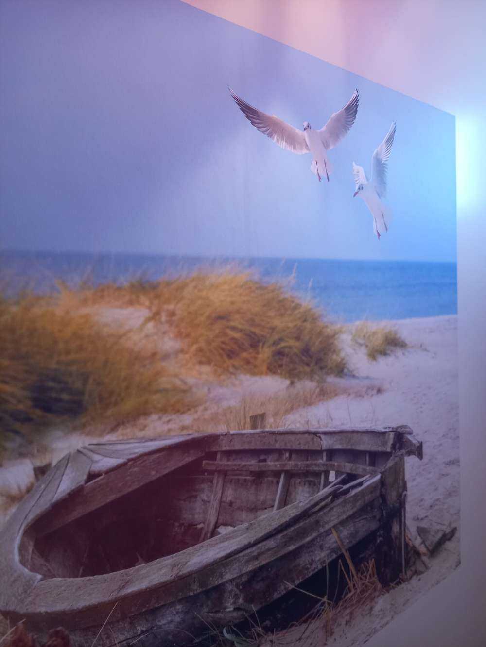 Old fishing boat, seagulls, beach and sea