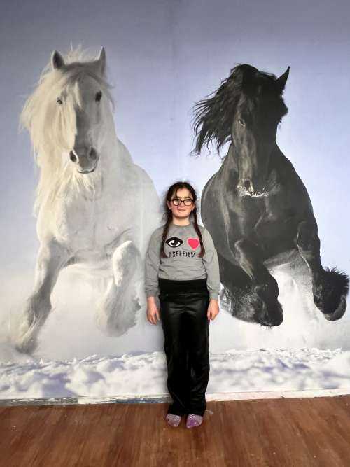 White and a black horse