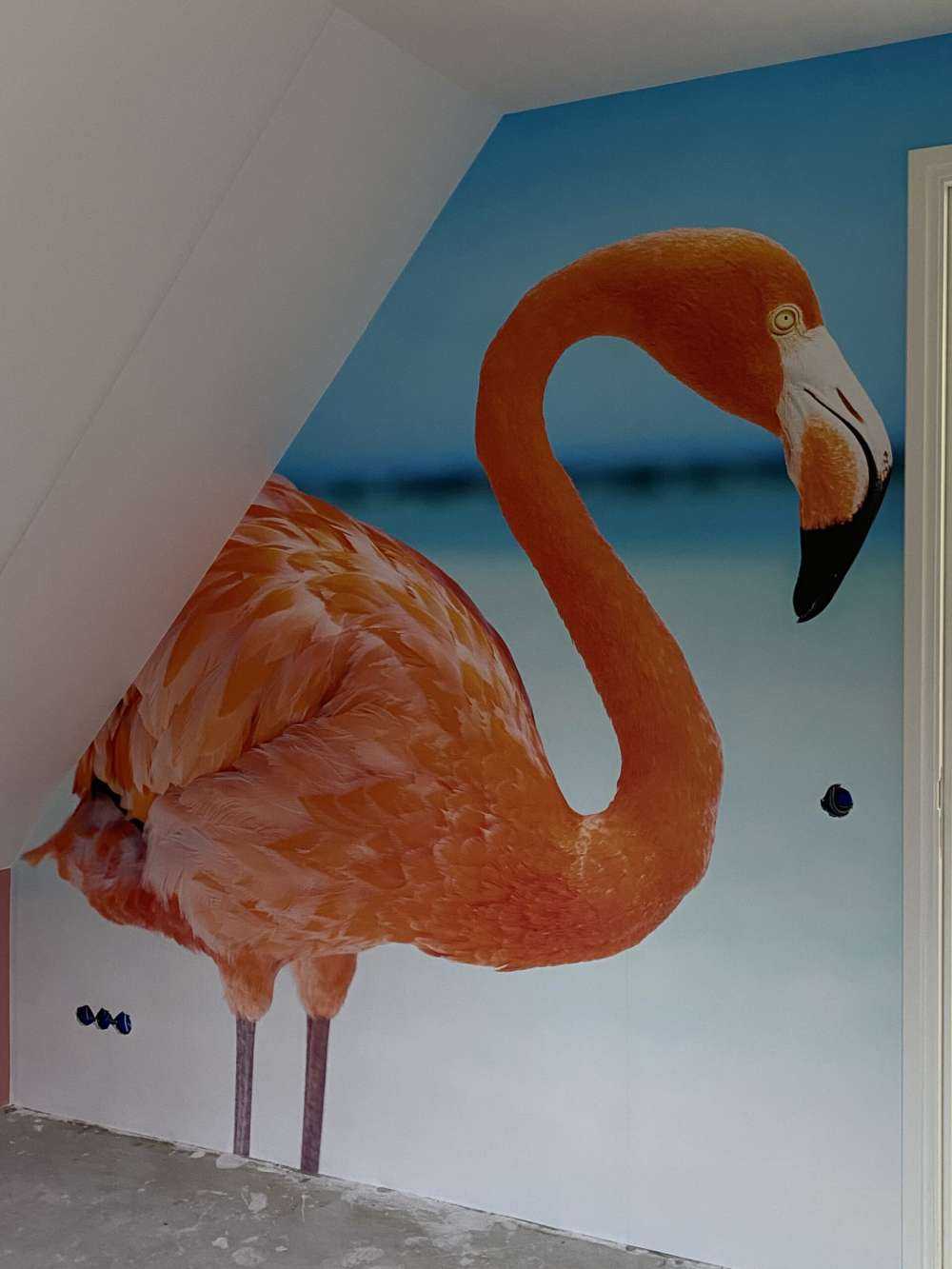 Tropical flamingo