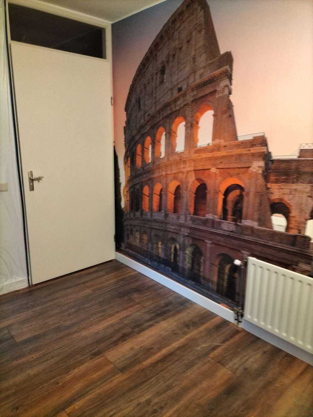 Colosseum at sunrise