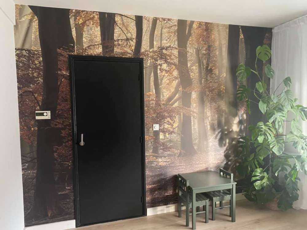 Autumn colours in the forest