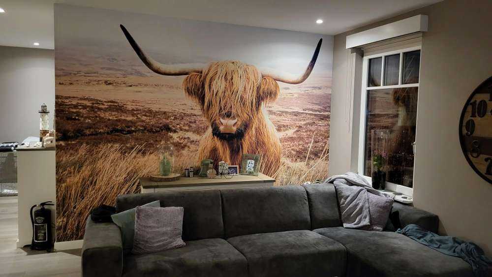 Scottish Highlander with reed