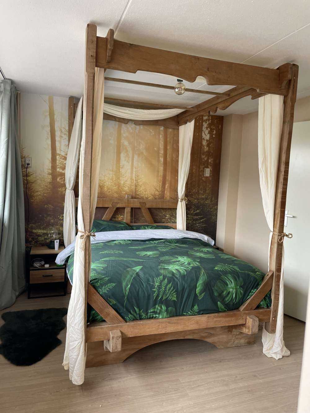 Sunbeams through forest