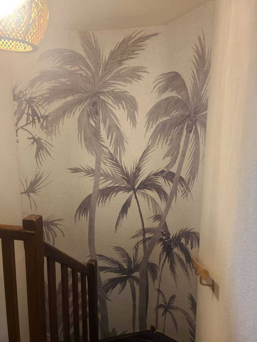 Tropical trees and plants