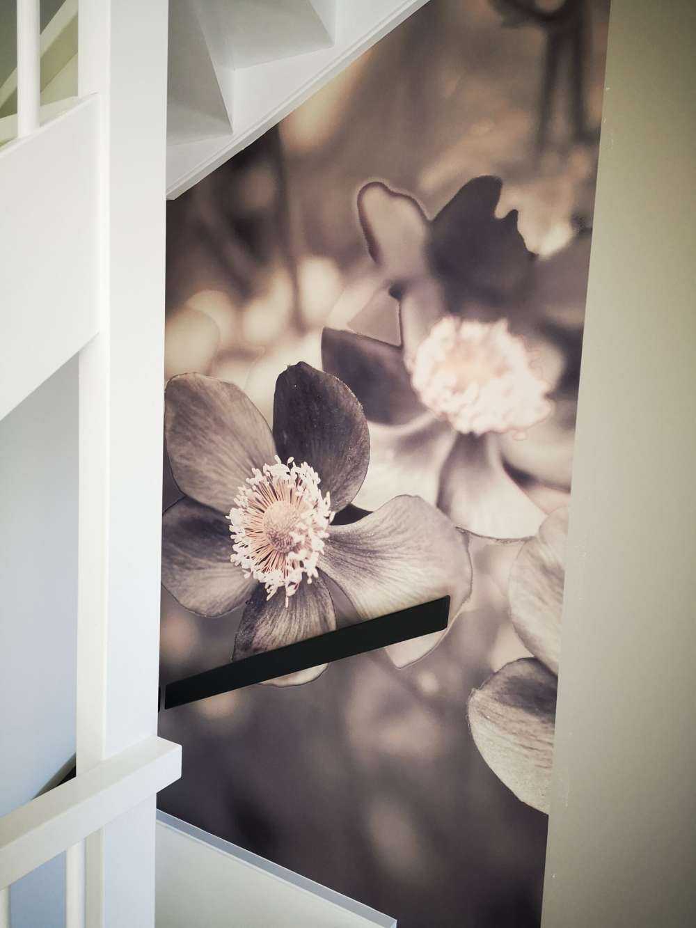 Anemone flower