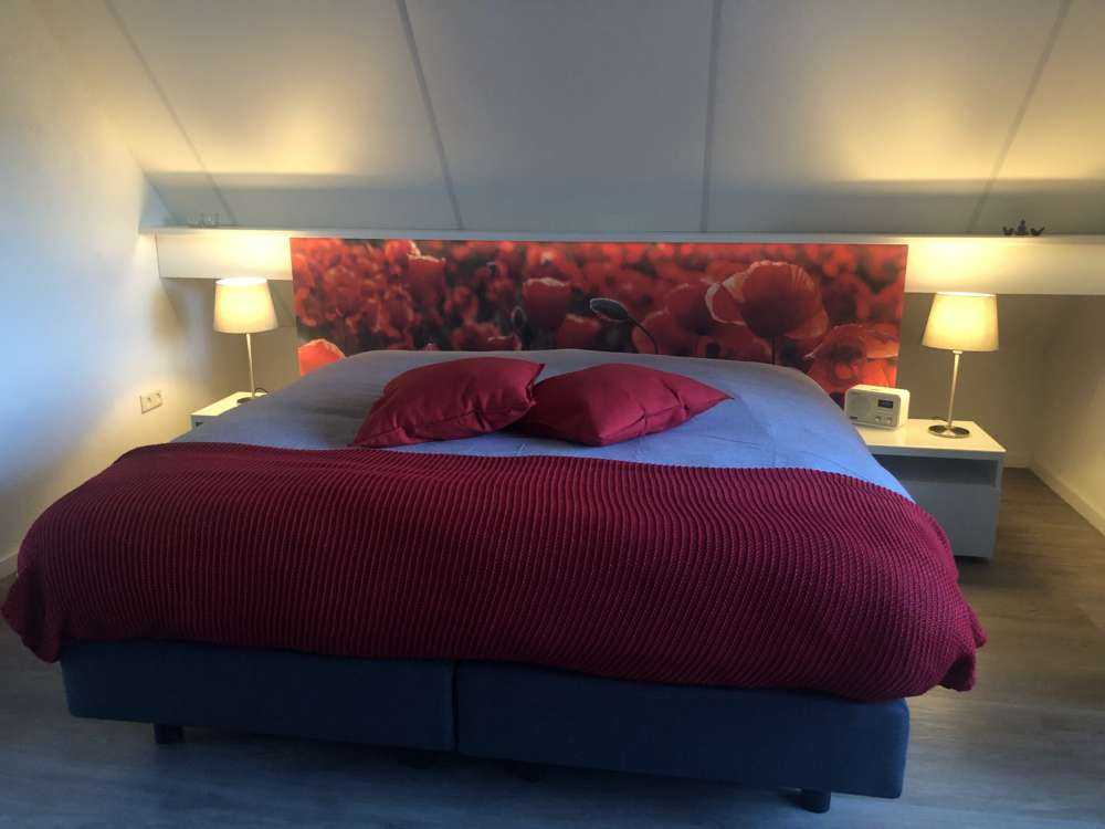 Poppies in dark style