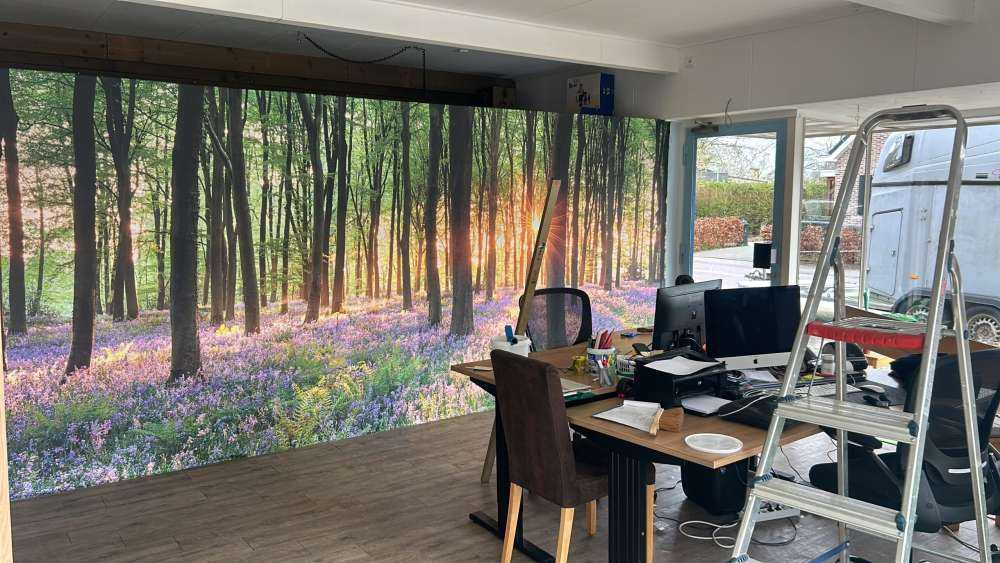 Forest path at sunrise