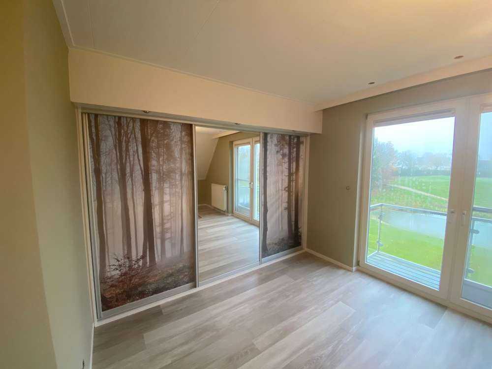 Foggy forest sunrise