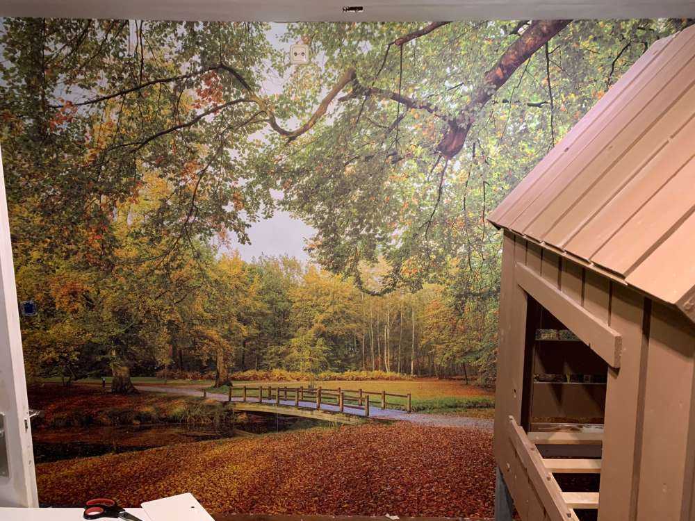 Bridge in the large forest