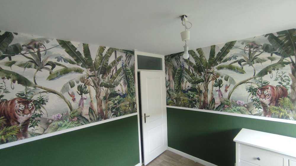 Tropical drawing of rainforest