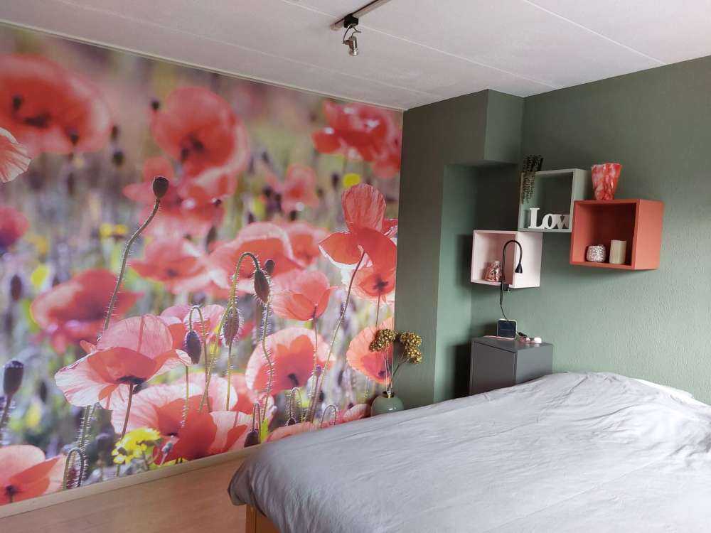 Poppies with vintage look