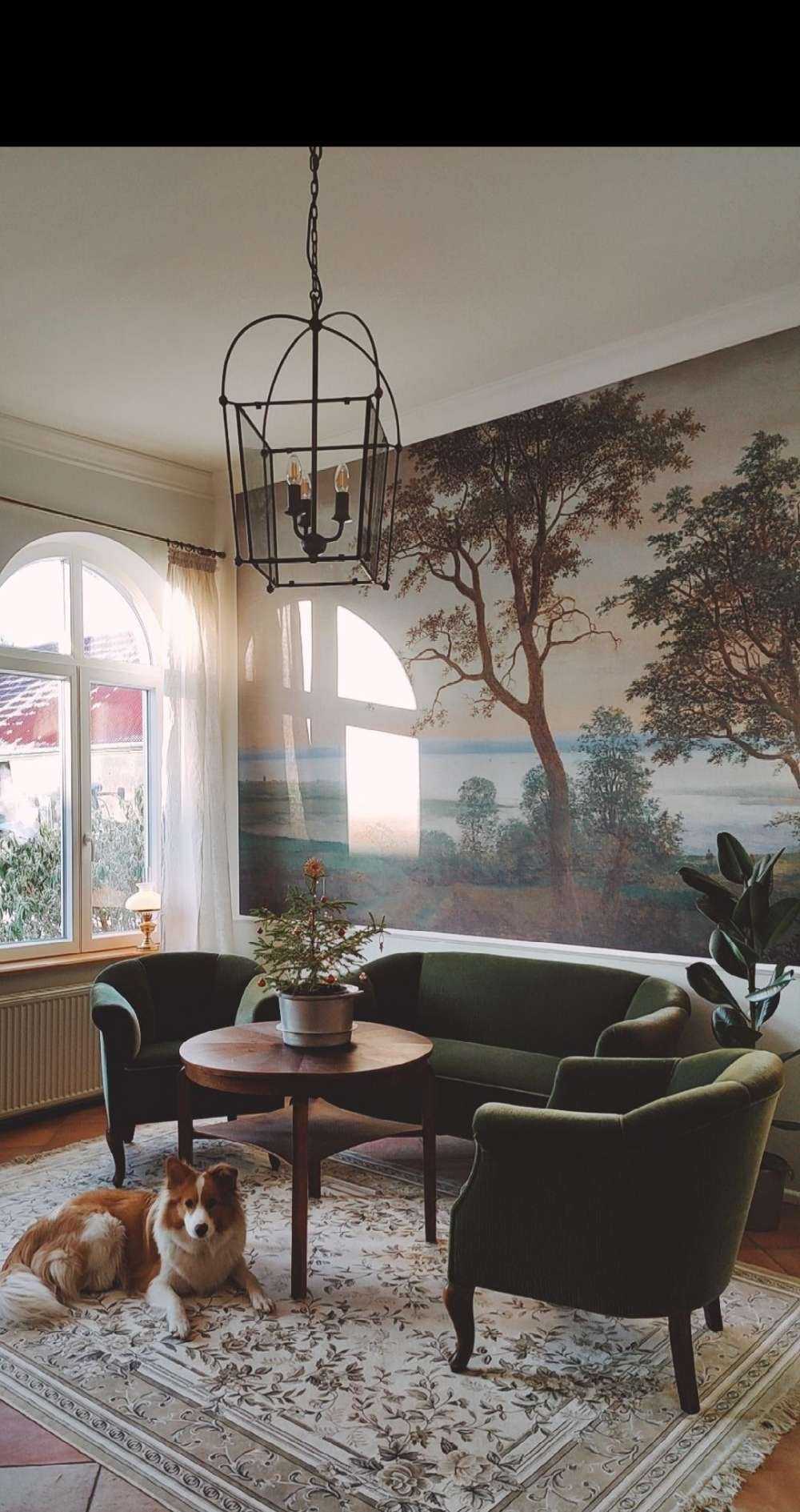 River landscape seen through trees