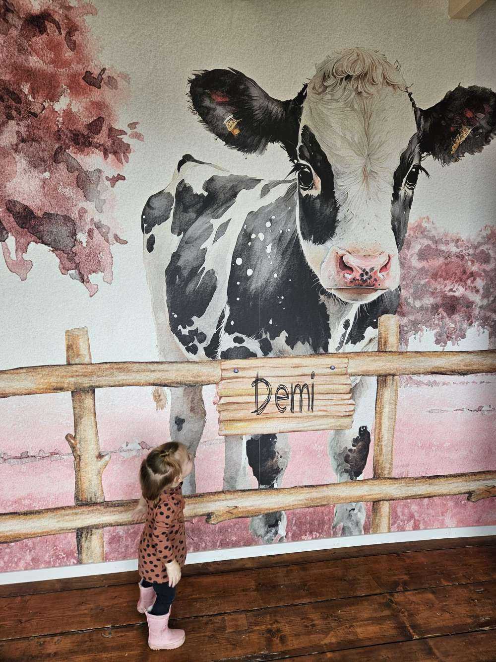 Young cow in a meadow pink