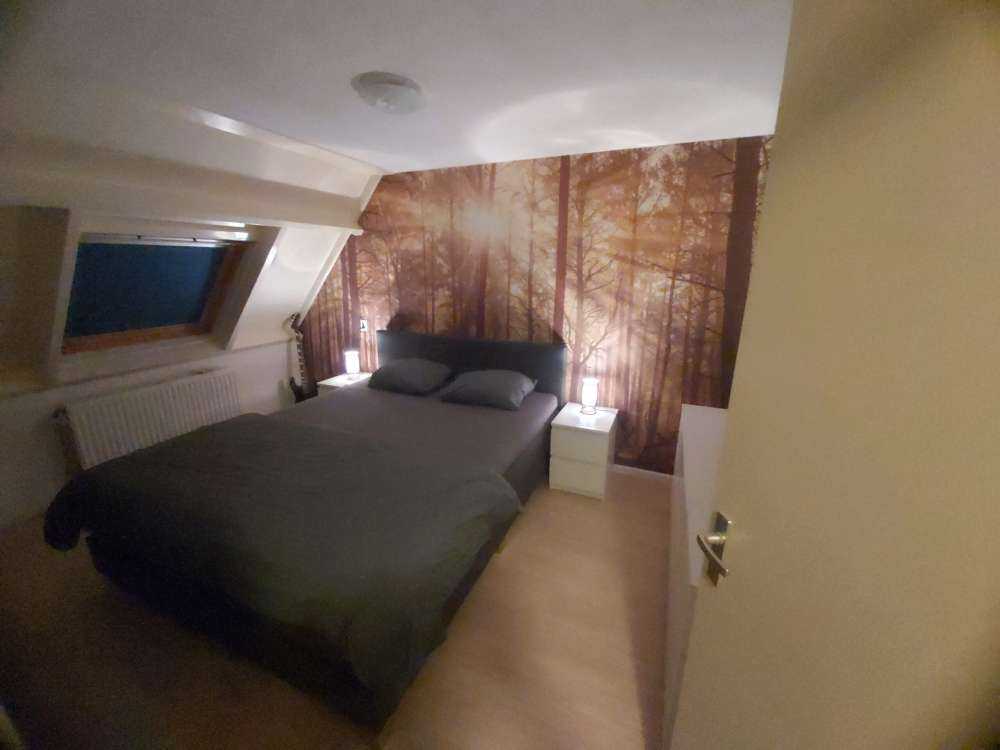 W01155