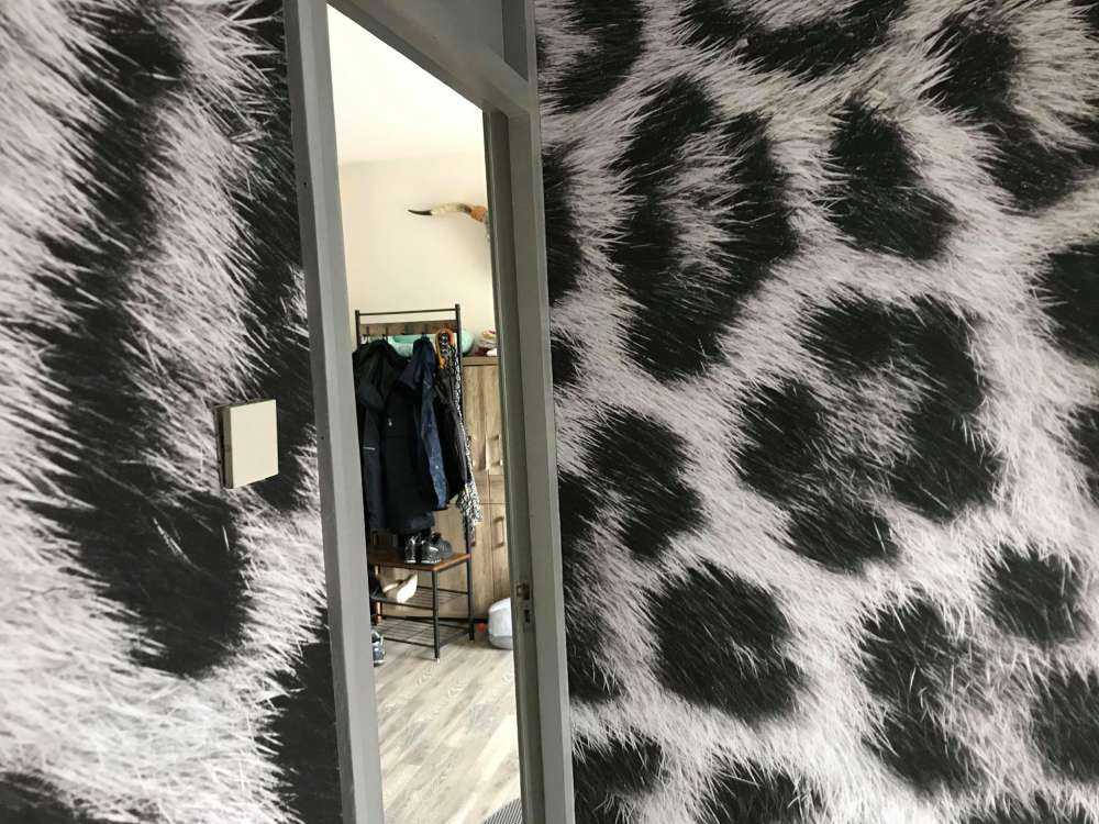 W02775
