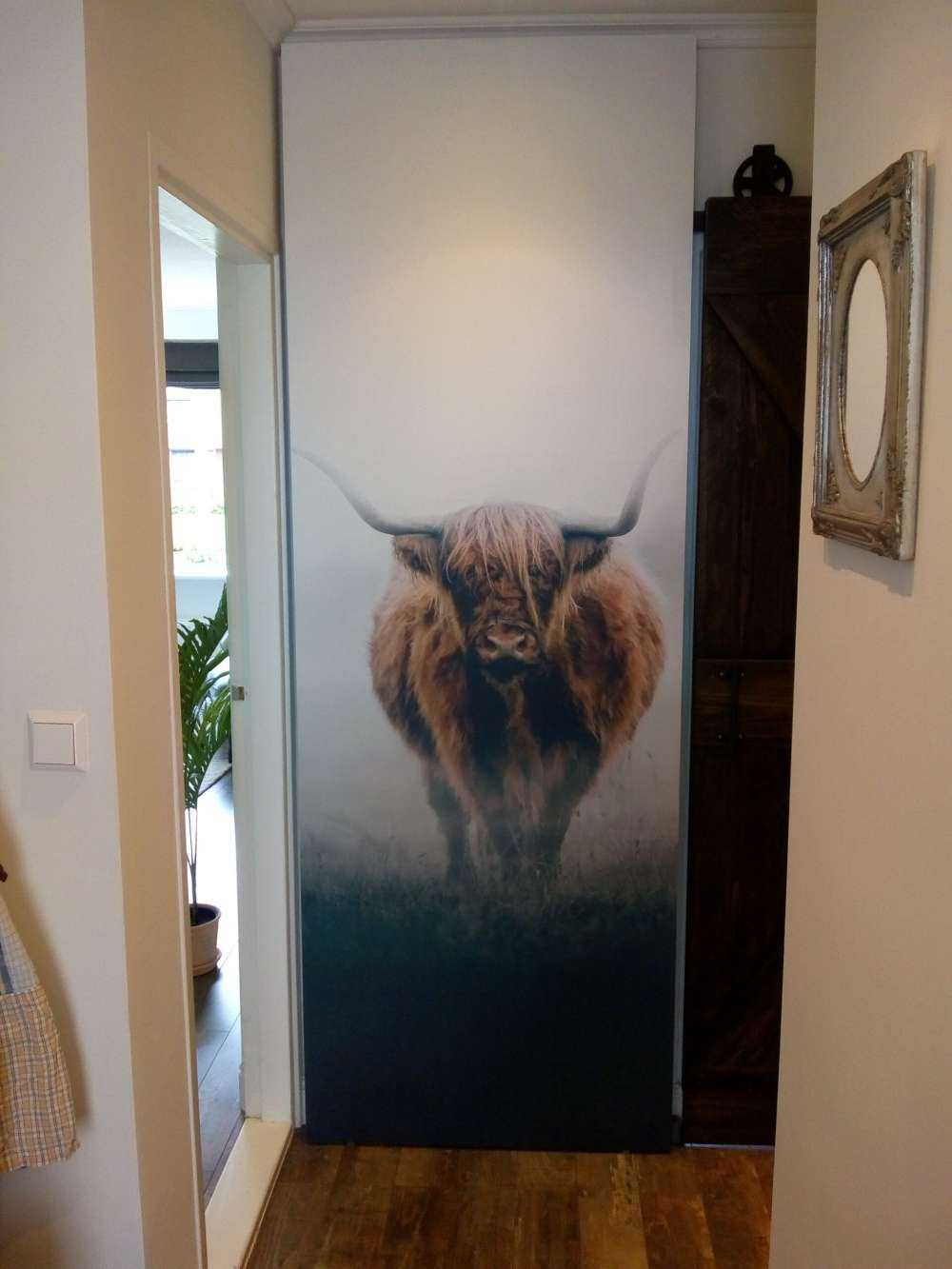 Scottish highlander in dense fog