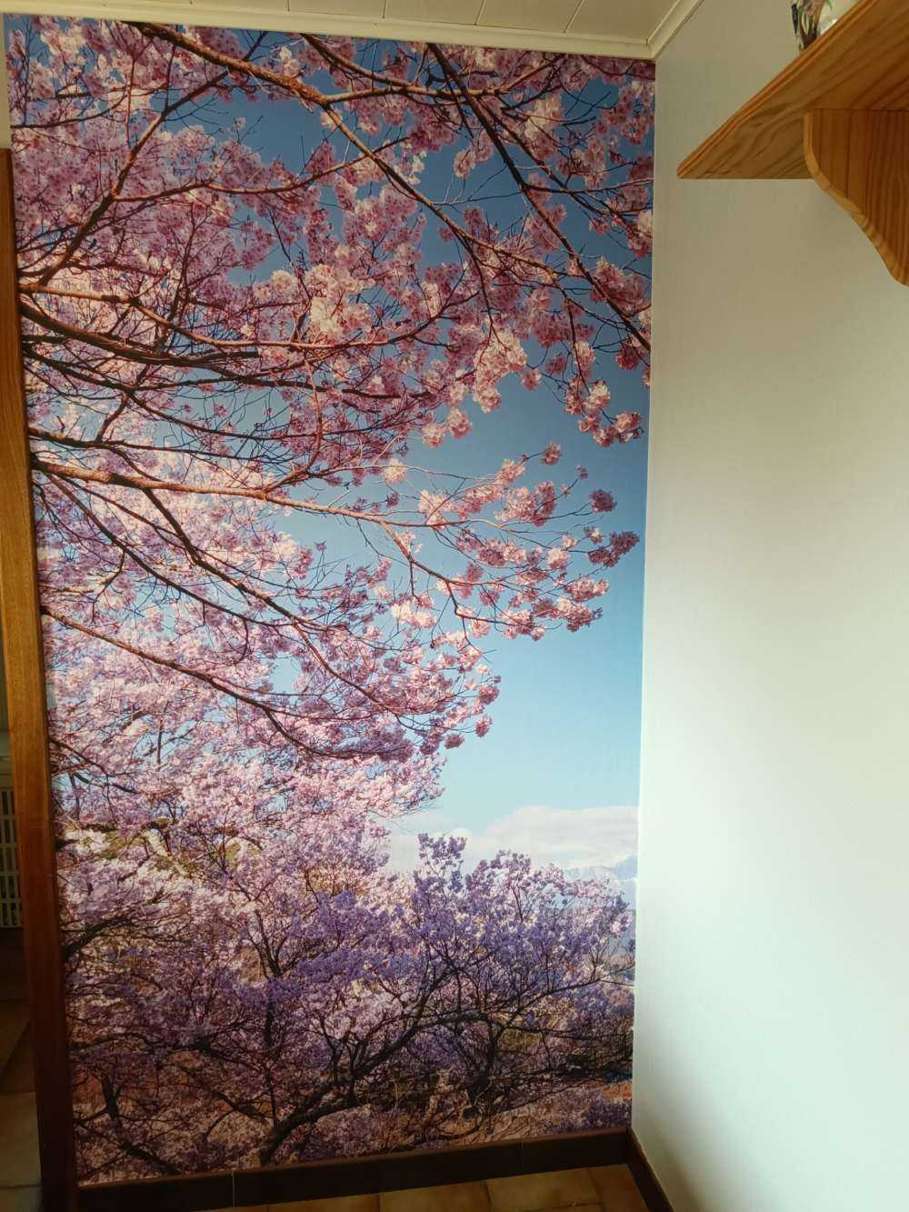 Pink blossoms with mountains