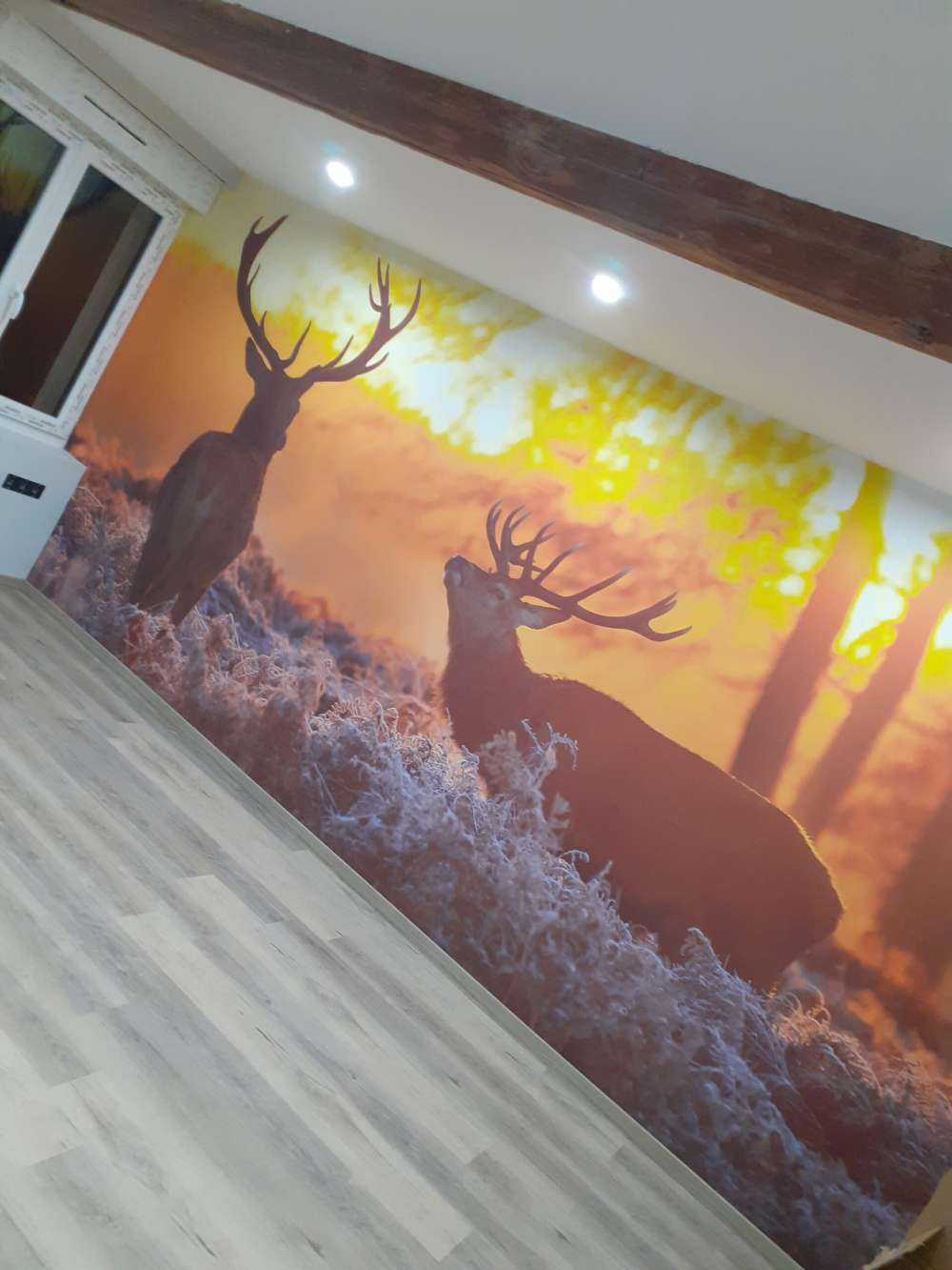 Deer at sunset