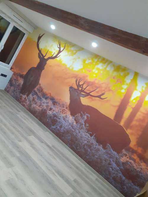 Deer at sunset