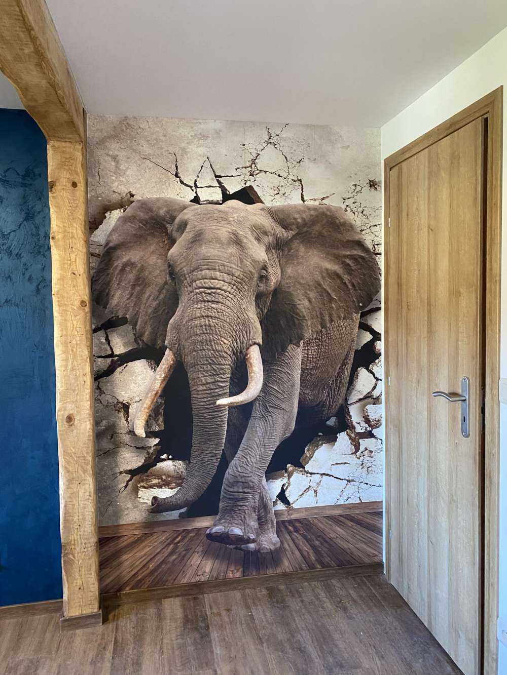 Big elephant out of the wall