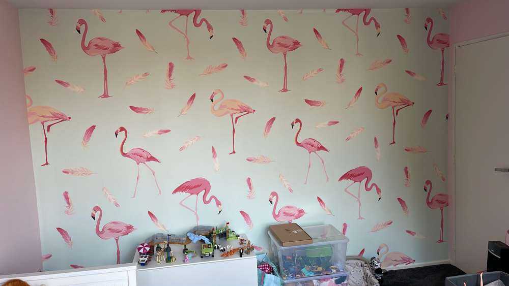 Flamingos