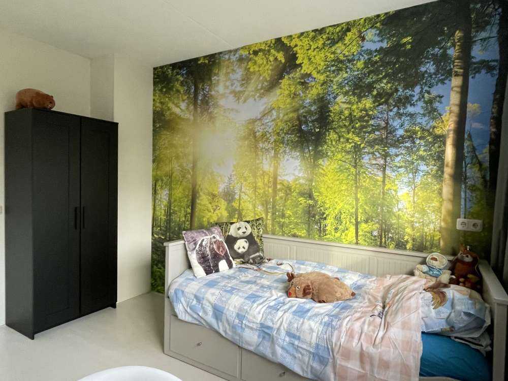 Forest with sunbeams