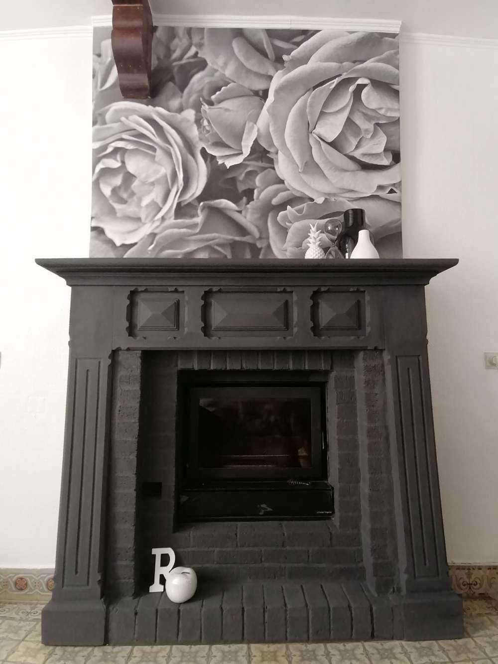 Roses black and white