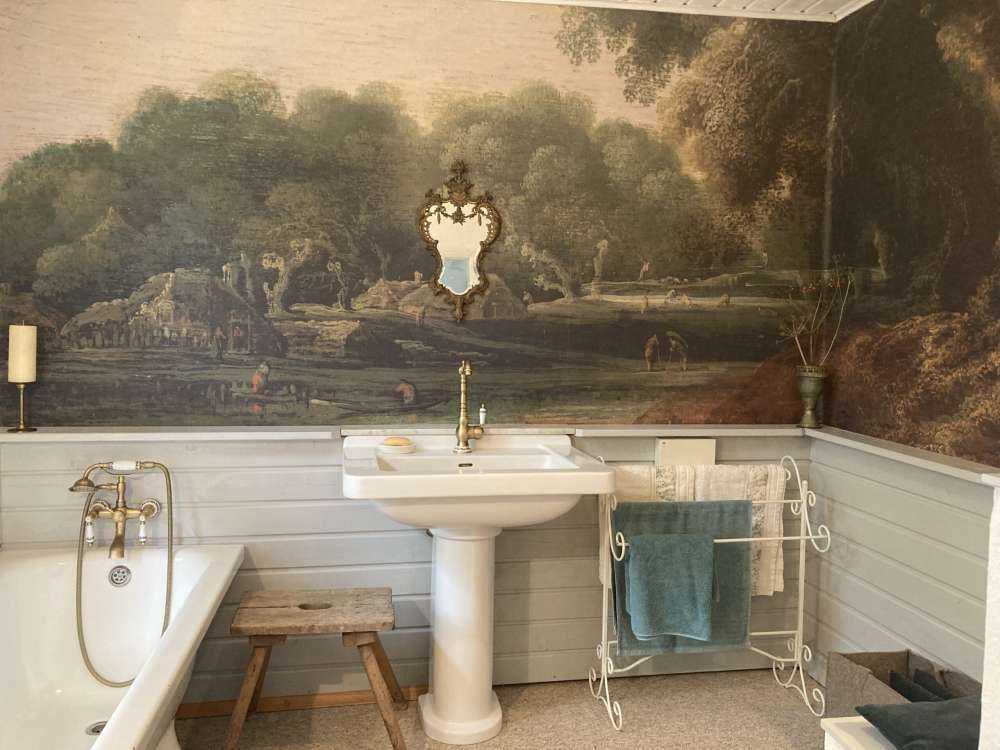 Imagined forest landscape