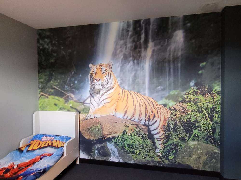 Tiger in the jungle