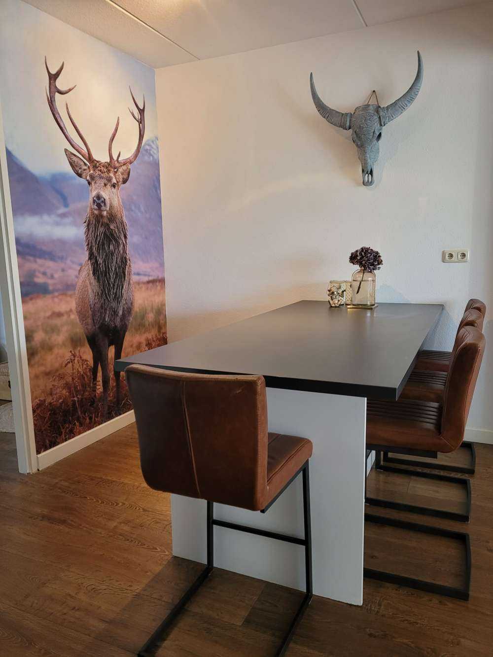 Deer in the mountains