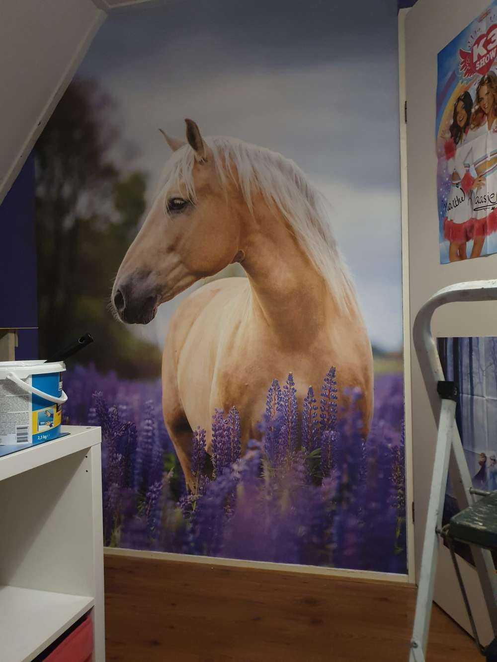 Horse among the butterfly flowers